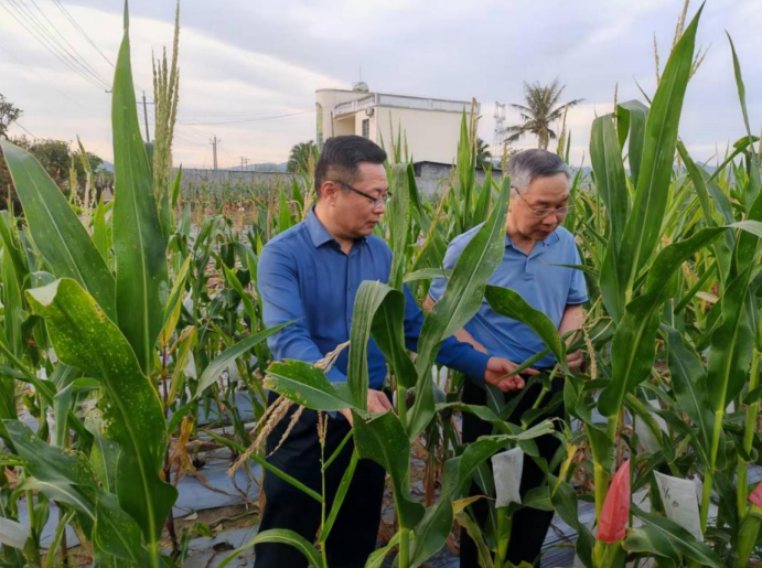 1764753000535487.png 7f80c3dc-c6c5-4688-978a-1029bba680a5.png