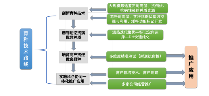 39adbabd-3181-4f07-91ab-c07e4f311376.png